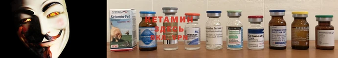 гидропоника Струнино