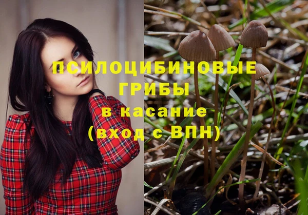 spice Вязьма