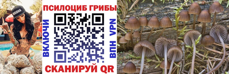 купить наркотик  Меленки  Галлюциногенные грибы мицелий 